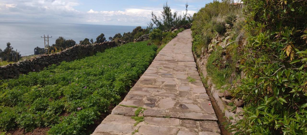 Taquile Hospedaje Mario Huillanopampa Dış mekan fotoğraf