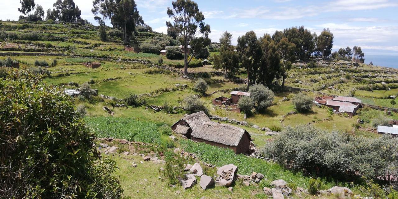 Taquile Hospedaje Mario Huillanopampa Dış mekan fotoğraf